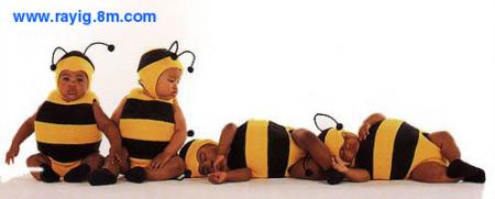 mal hado  rahom darbin atasa